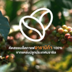 บราซิลเลี่ยน ฟรีซดราย โกลด์ 100 กรัม